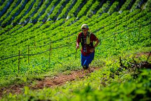 BIB: 
                            <button type="button" onclick="openModal(19162174)" class="btn btn-primary btn-sm float-right btn-popup" data-toggle="modal" data-target=".modal-high-quality">
                        <i class="fas fa-shopping-cart"></i> Add to Cart
                    </button>
                                            <button type="button" onclick="isThisMe(19162174, true)" class="btn btn-success btn-sm float-right btn-popup btn-isme hidden" data-toggle="tooltip" data-placement="bottom" title="นี่คือรูปของคุณใช่ไหม คลิกที่นี่เพื่อเอาเข้าอัลบั้ม">
                        <i class="fas fa-plus"></i> Add to album
                    </button>
                    <button type="button" onclick="isThisMe(19162174, false)" class="btn btn-warning btn-sm float-right btn-popup btn-isnotme hidden">
                        <i class="fas fa-ban"></i> Remove from album
                    </button>